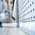 BAGS&RATS – Καπλανίδης Αθανάσιος – Απεντομώσεις – Απολυμάνσεις